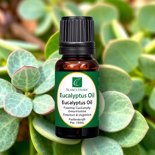 Zdravi a wellness: eukalyptový olej 10 ml
